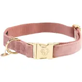 Kentucky Dogwear Velvet Hondenhalsband