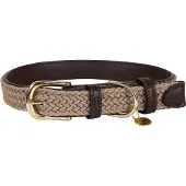 Kentucky Dogwear Nylon Hondenhalsband