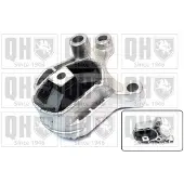 Quinton Hazell EM3166 Motorsteunlager