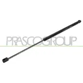 PRASCO VG0239055 Gasveer achterklep