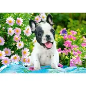 Castorland French Bulldog Puppy Puzzel (500 stukjes)