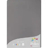 Pollen Etui de 25 feuilles A4 Gris Acier 210g