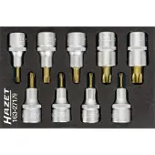 Hazet Dopsleutelbitset - TORX 163-271/9 - 1/2 inch (12,5 mm) vierkant hol - Binnen-TORX-profiel - 9-delig - T20 – T60