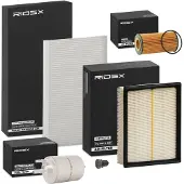 RIDEX 4055F30804 Filterset