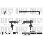 Quinton Hazell QTS828181 Gasveer achterklep