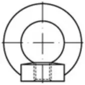 Toolcraft 109431 Ringmoeren M48 DIN 582 Staal 1 stuk(s)