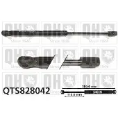 Quinton Hazell QTS828042 Gasveer achterklep