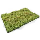 Mig Modelbouwdecoratie - MIG 8362 Wilderness Fields with Bushes Spring Kunstgroen