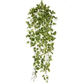 Maxifleur Kunstplanten Peperomia Kunsthangplant bont 90cm