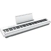 Roland FP-30X wit