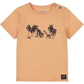 Dirkje Jongens T-shirt - Bright orange