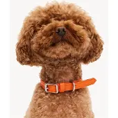 DOGGUO Heart Collar - Hondenhalsband - Oranje