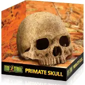 Exo Terra Schuilplaats Primate Skull - Ornamenten - 17x13.5x11.5 cm