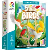 Brain Games 5 Little Birds