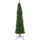 Everlands Pencil pine 180 cm