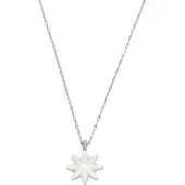 Skagen Dames Zilveren Pendentifsieraden - Skagen SKJ1776040