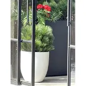 LeopoldFlora Kunststruik Pinus Den 60 cm UV