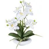 Kopu kunstbloem orchidee 41 cm met bloemschaal phalaenopsis