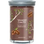 Yankee candle Kamergeuren Tumbler Praline & Birch