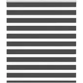 vidaXL Zebra rolgordijn 125x100 cm stofbreedte 120,9 cm zwart