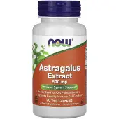 Now Astragalus Extract 500mg - 90 v-caps