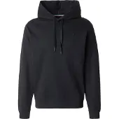 Replay Trui 'BRUSHED FLEECE M3103 .000.23832' zwart