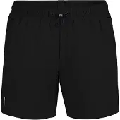 Arena Zwemshorts 'EVO' zwart