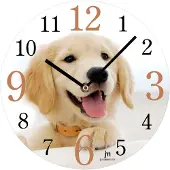 Lowell horloge 14846