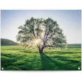 Reinders! Poster Boom in de ochtendzon Outdoor voor tuin of balkon