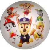 Niermann Standby Plafondlamp Paw Patrol Plafonnière Paw Patrol (1 stuk)