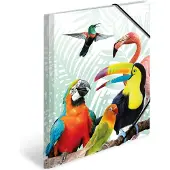Herma Elastomappen A3 PP Kliek tropische vogels