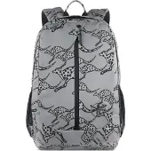Chiemsee Jump N Fly Dagrugzak 46 cm Laptop compartiment grijs