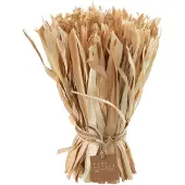 J-Line Bundel gedroogde bloemen naturel small