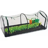 Kinzo tunnelkas met rits 130x60x50 cm transparant/groen