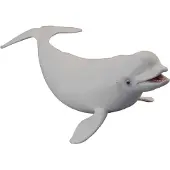 Collecta Figurine - Witte Walvis - (L) - Zeedieren - Handgeschilderd - Miniatuur