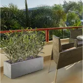 Maxifleur Kunstplanten Olijf Kunstplant 50cm UV