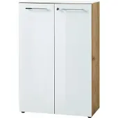Germania Archiefkast GW-Monteria Deuren met glasplaat, afsluitbaar, breedte 80 cm, Made in Germany