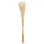 J-Line droogbloemen - bundel gedroogde Haver - riet - ecru