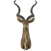 J-Line Antilope kop poly bruin