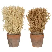 J-Line Oogst in terracotta pot naturel assortiment van 2