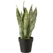 J-Line Dracaena trifasciata in pot kunstmatig groen medium
