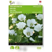 Buzzy - Zaden malope trechtermalva white queen 1.5 gram
