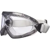 3M 2890A ruimzichtbril
