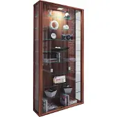 Hioshop Vitrosa Maxi vitrinekast wandhangend met 2 glazen deuren en lichtKernnoten decor.