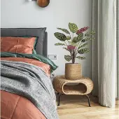 Maxifleur Kunstplanten Red Calathea Makoyana FR Kunstplant 60cm