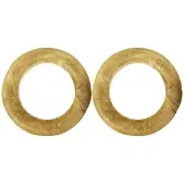 Holland Diervoeders 2x Geperst Ring 150-160 Gram 10 Stuks