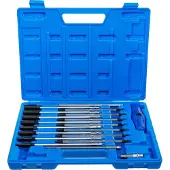 Bgs Schroevendraaier en dopsleutelset met T-handvat 19 delig