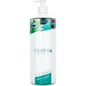Exotiq Massage *Body To Body Regular* 1 l