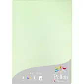 Pollen Papier
