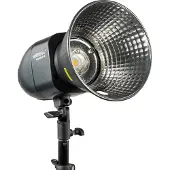Walimex Nieuwkomer 100 Studioflitser II (100 W, Flitskop), Studioflitser, Grijs